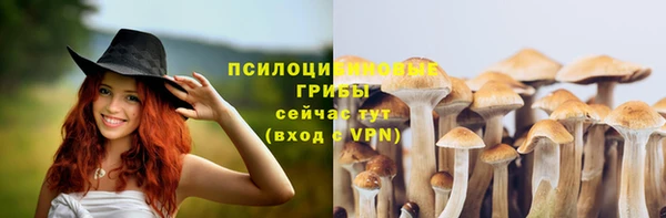 кокс Баксан
