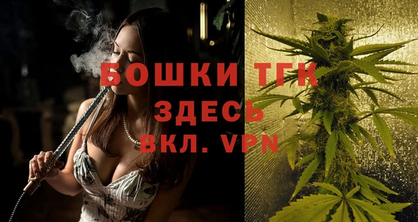ГАЛЛЮЦИНОГЕННЫЕ ГРИБЫ Балахна