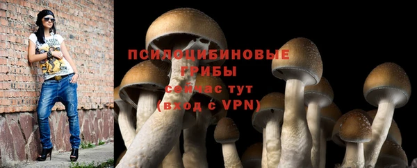 spice Балабаново