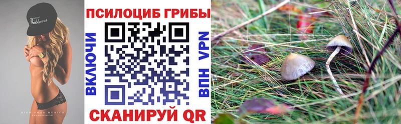 omg рабочий сайт  Калуга  Галлюциногенные грибы прущие грибы 